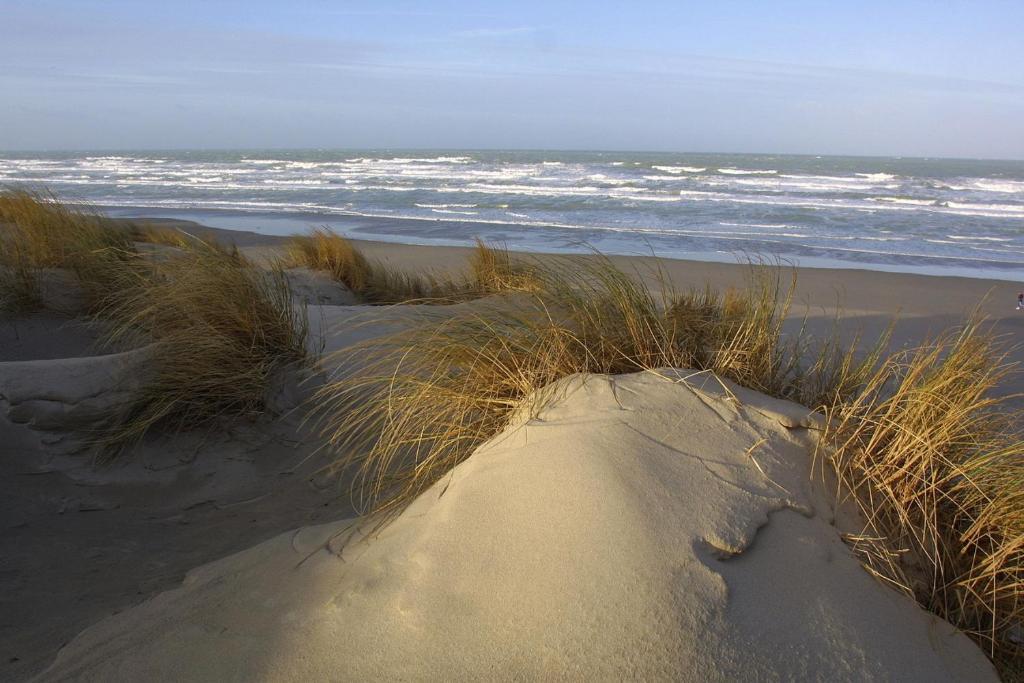 Logis Auberge De La Dune - Hotel & Restaurant เลอโครทัว ภายนอก รูปภาพ